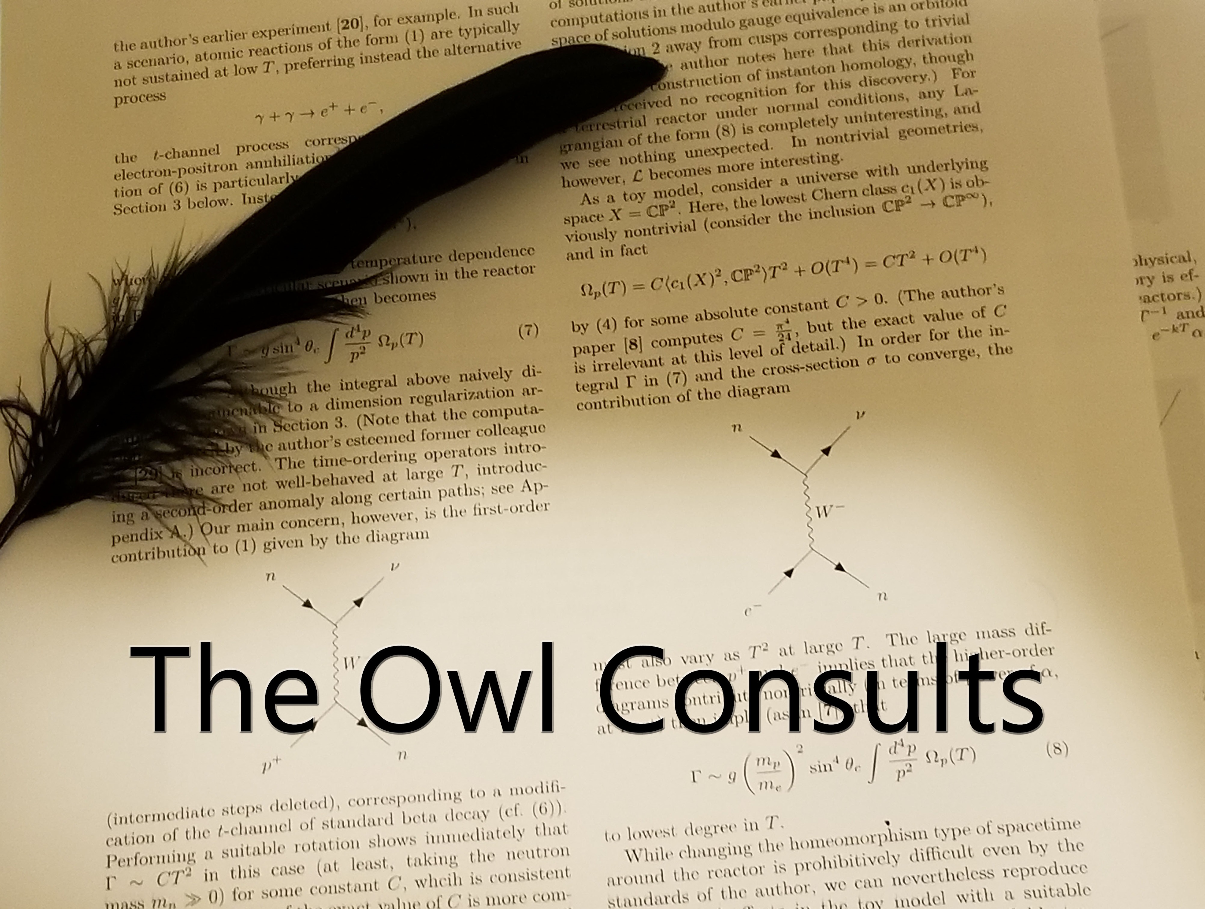 Cover art for The Owl Consults
