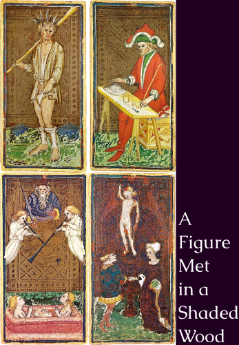 Cover art for A Figure Met in a Shaded Wood
