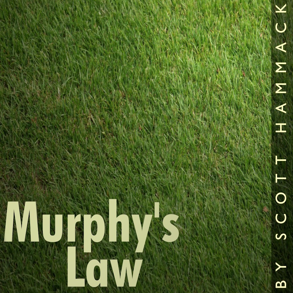 Cover art for Murphy's Law