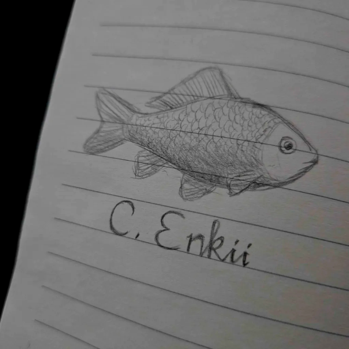 Cover art for Enkii