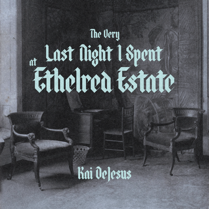 Cover art for The Very Last Night I Spent at Ethelred Estate