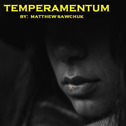 Cover art for Temperamentum