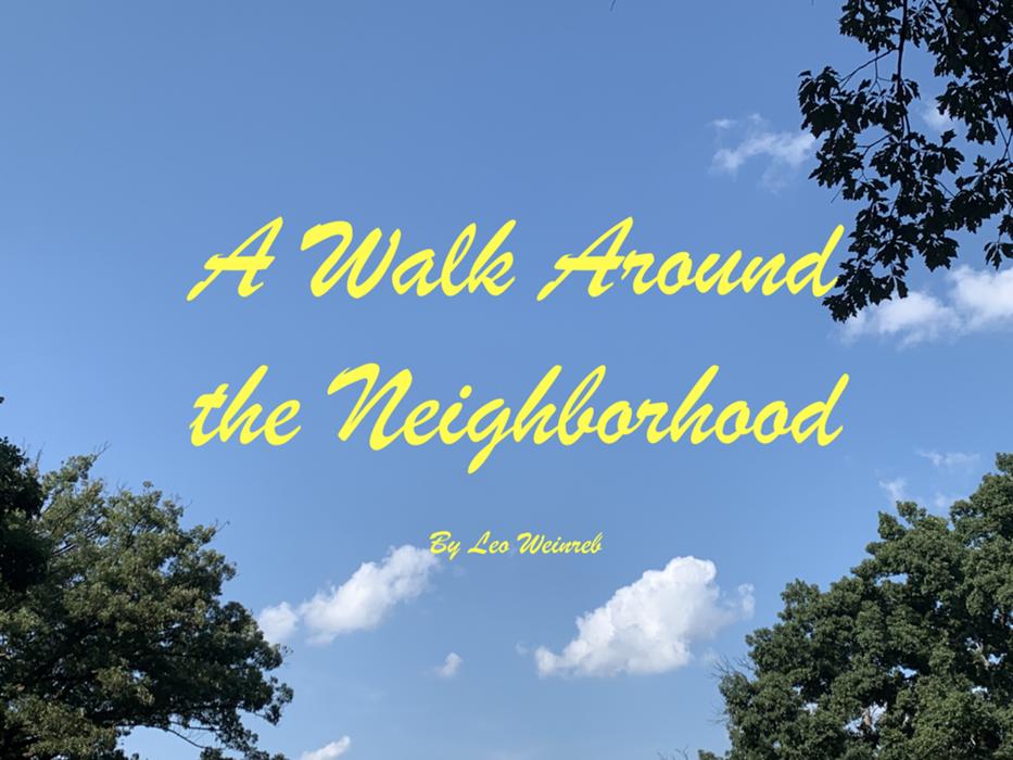 Cover art for A Walk Around the Neighborhood