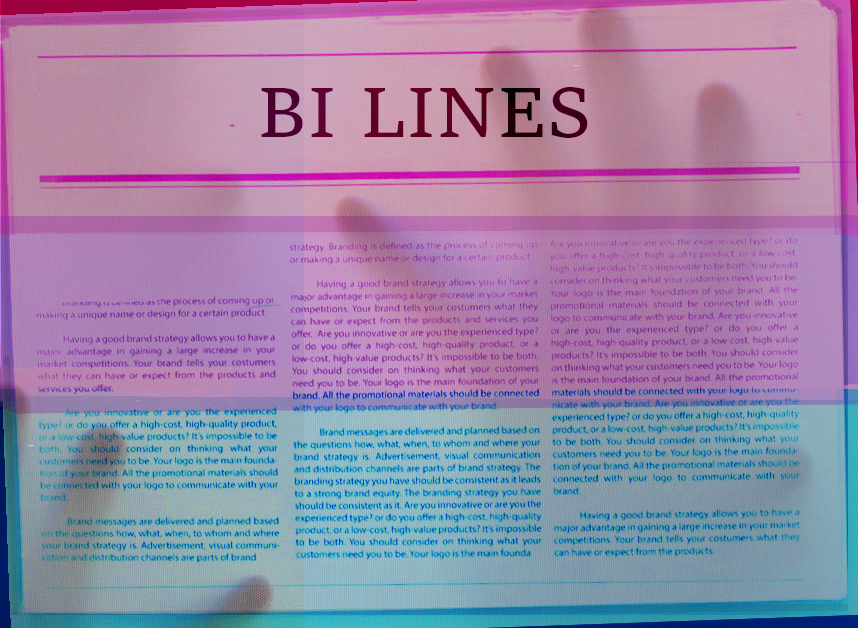 Cover art for Bi Lines