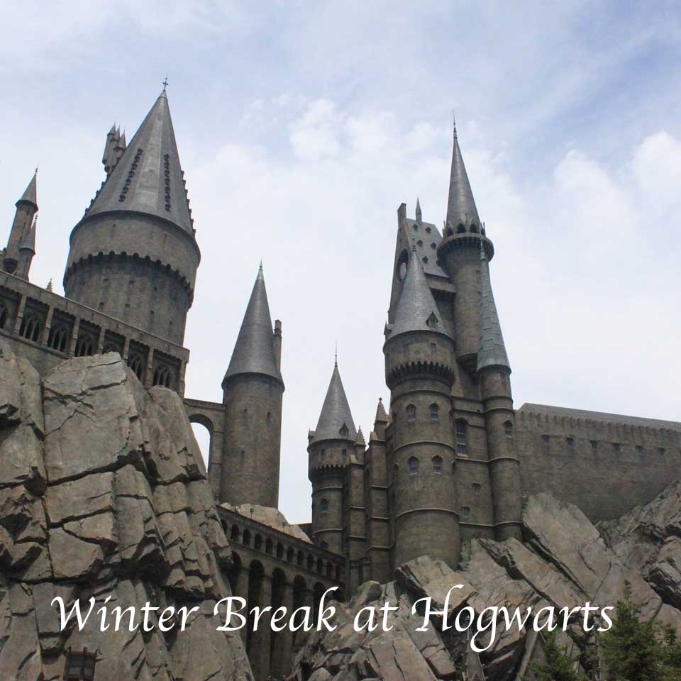 Cover art for Winter Break at Hogwarts
