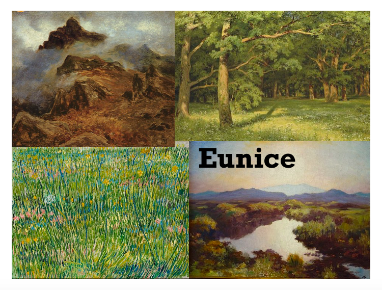 Cover art for Eunice