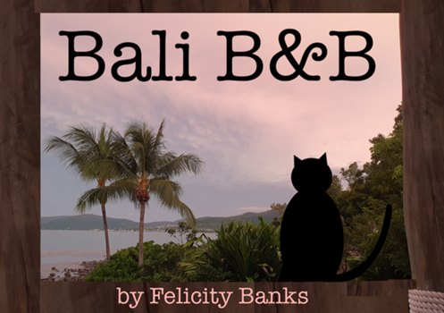 Cover art for Bali B&B