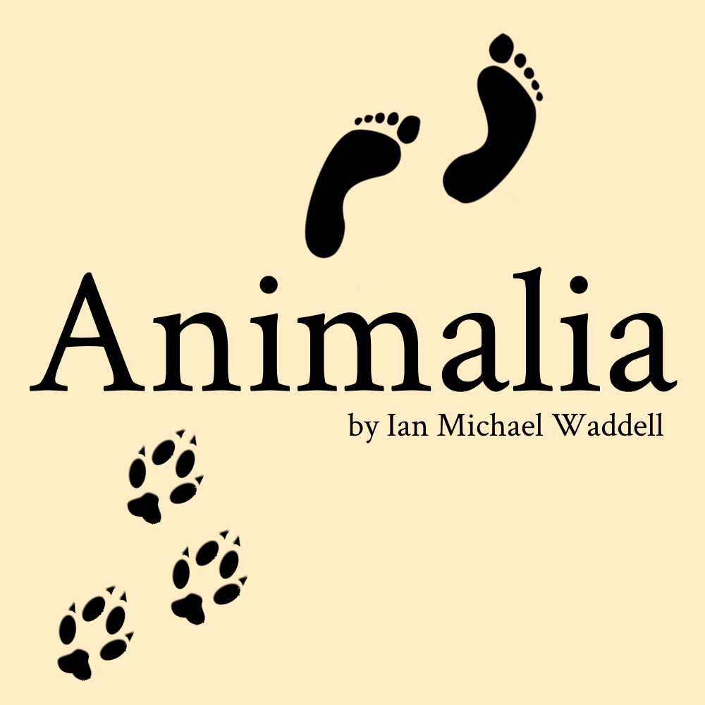 Cover art for Animalia